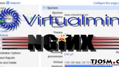 virtualmin-nginx