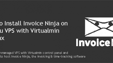 Install Invoice Ninja on Ubuntu VPS with Virtualmin & Nginx