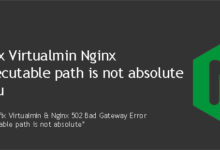 Nginx executable path is not absolute