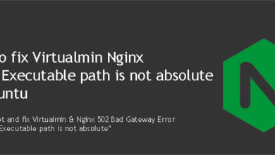 Nginx executable path is not absolute