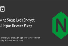 Let's Encrypt with Nginx Reverse Proxy